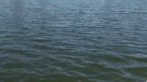 Что делать с яблоками падалицей. Полезные вкусняшки.