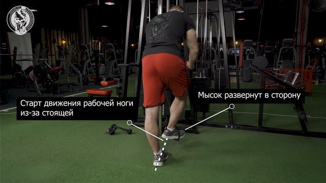 Отведение на среднюю ягодичную смотреть онлайн