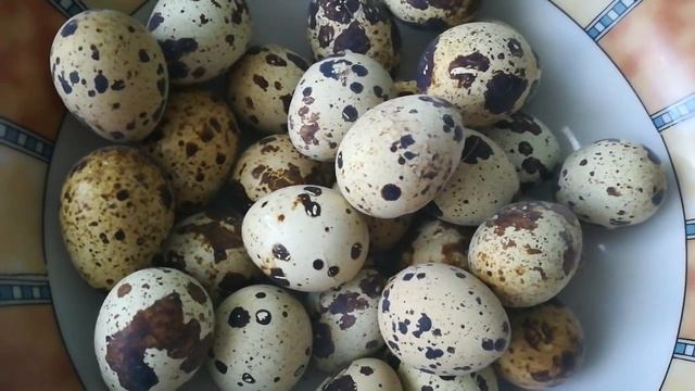 Перепелиные яйца. Как варить яйца. Яйца в смятку. смотреть онлайн