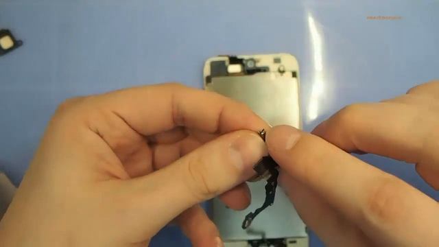 Замена шлейфа кнопки включения на iPhone 5S, самостоятельная разборка и ремонт айфона 5S смотреть онлайн