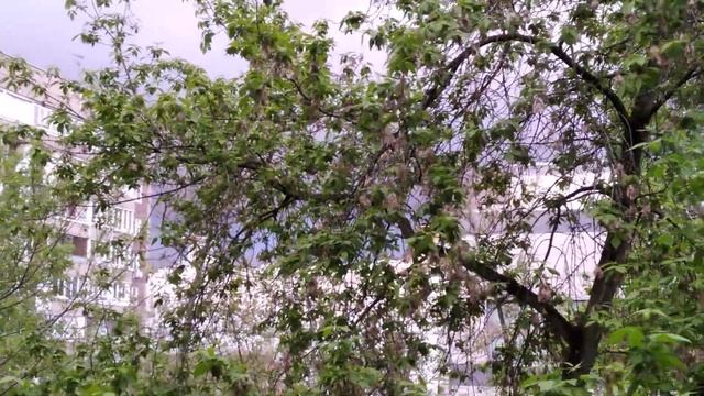 После дождя будет радуга. После заката рассвет. После зимы будет радовать летний и жизненный свет.) смотреть онлайн