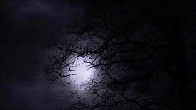 Это МИСТИЧЕСКАЯ история, которая произошла с парнем! Страшные истории на ночь. Страшилки на ночь. смотреть онлайн