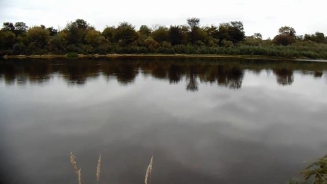 #клязьма Река Клязьма осенью,.