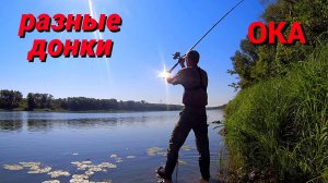 ЛОВЛЮ на ТРИ РАЗНЫЕ УДОЧКИ. Рыбалка на ОКЕ в начале сентября.