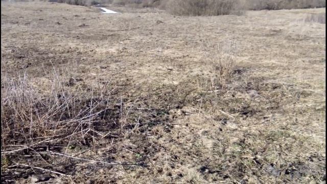 поиск с MD3010ii Закладуха ювелира? смотреть онлайн