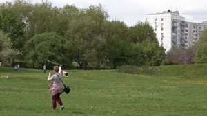 Соколиная охота: живое историческое наследие