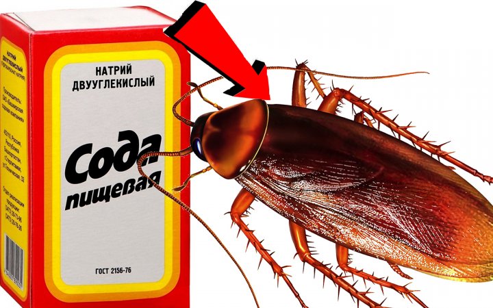 Как избавиться от тараканов За 3 Секунды!