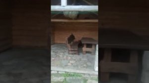 Сдаю дом на сутки, Нарочь, Беларусь
