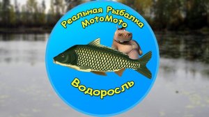 Как поймать Водоросль на Карасёвом пруду [NEW] | Реальная Рыбалка