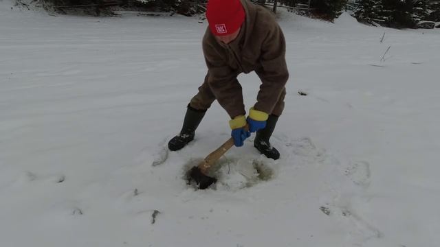 ЕСЛИ РЫБАЧИТЬ ПО ЗАКОНУ, ОСТАНЕШЬСЯ БЕЗ РЫБЫ. ПРОВЕРКА КРЮКОВ НА НАЛИМА. ЛОВЛЯ ЖИВЦА НА САМОДЕЛКУ. смотреть онлайн