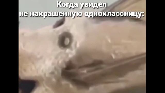 Ленин в мавзолее: ? смотреть онлайн