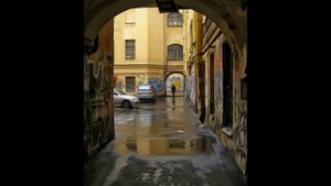 "ОСЕНЬ, ОНА НЕ СПРОСИТ"... (Фото Алёны Николаевой (СПб) - Поёт Гарик Сукачёв)