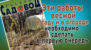 Эти работы весной в саду и в огороде необходимо сделать в первую очередь