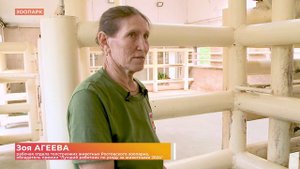 Работник ростовского зоопарка Зоя Агеева отмечена премией "Лучший работник по уходу за животными"