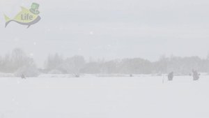 Секреты ловли карася зимой на мормышку и поплавок! Как ловить карася на мормышку или поплавок зимой