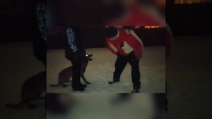 ТРЕНИРОВКА МАЛИНУА, ОХРАНА ХОЗЯИНА, ДВА ВАРИАНТА