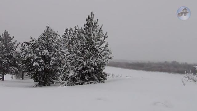 Он думал что все, конец! Но дальше произошло невероятное! смотреть онлайн