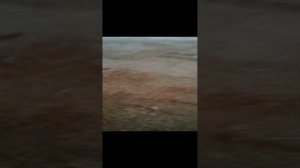 наши котятки