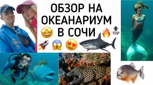 ОБЗОР НА ОКЕАНАРИУМ В СОЧИ