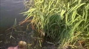 как закрепить удочку и не травмировать уши звоном колокольчика