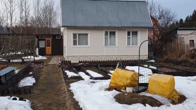 Ошибки прошлогоднего укрытия роз ? Зимовка ❄ роз в Московской области