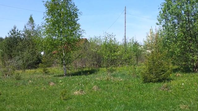 Участок в садовом товариществе Орджоникидзе 8 смотреть онлайн