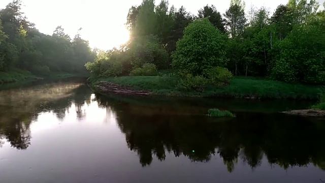 Псковская область, река Плюсса#Плюсса смотреть онлайн