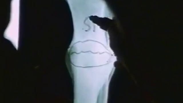 Кремний, основа жизни Научфильм смотреть онлайн