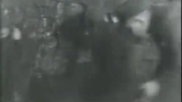 The Higher Animals ♫ Sixteen Tons смотреть онлайн