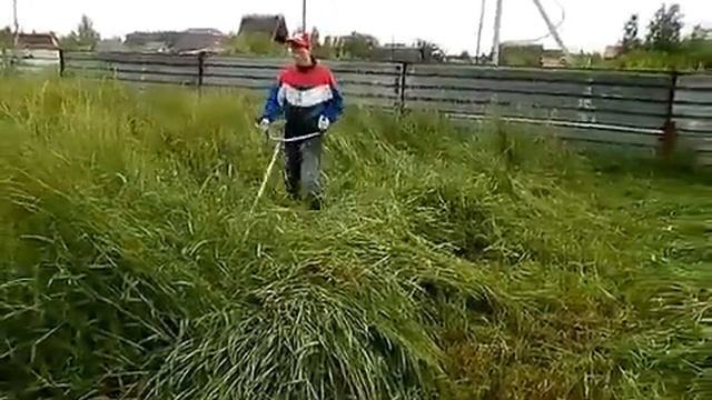 Бензокоса Caiman WX-24 в действии смотреть онлайн