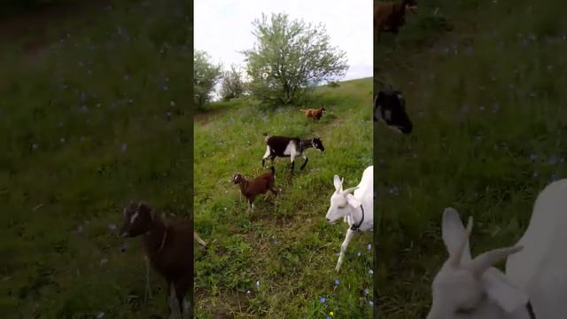 29 мая 2020 г. смотреть онлайн