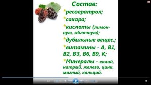Шелковица Полезные свойства
