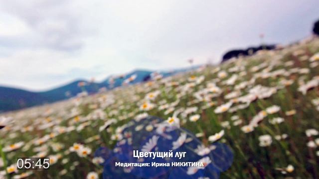 Медитация: Цветущий луг