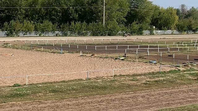 5 сентября 2021 г., разминка, Санжар, сер. жер. орл. (Житомир – Сибирячка) смотреть онлайн