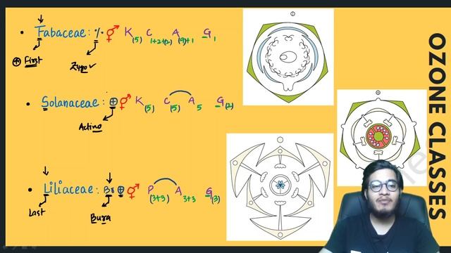 Trick to Write Floral Formulas of Family Fabaceae, Solanaceae & Liliaceae | Morphology via NCERT смотреть онлайн