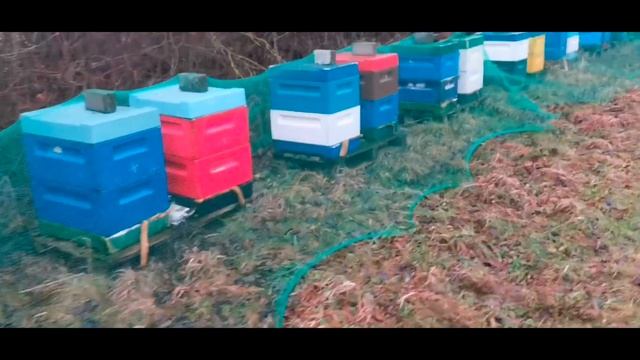 Что год грядущий нам готовит? Всех с наступающим новым годом! Главное здоровья, остальное заработае смотреть онлайн