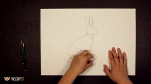 Как нарисовать зайца поэтапно простым карандашом начинающие