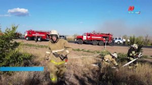 Еще на 20 дней продлен запрет на посещение лесов Волгоградской области