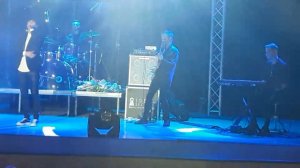 Алексеев дельфины