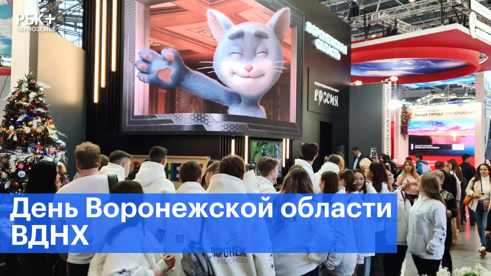 «Куб чернозема»: День Воронежской области прошел на выставке «Россия»