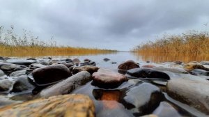 Осень она не спросит