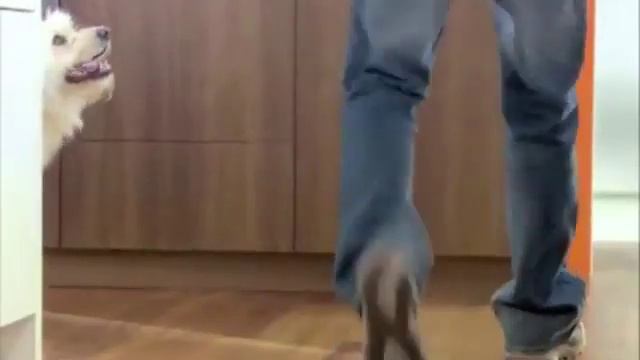 Форема кухни ЭТО ТАК ПРОСТО смотреть онлайн