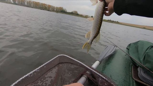 Когда щука начала клевать! Жор щуки ! смотреть онлайн