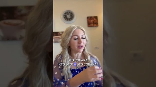 Учим вопросительные слова для развития диалога. Вопросительное слово "кто".
