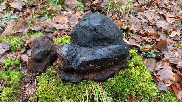 ЧАГА - ЧТО ЭТО? ИНТЕРЕСНЫЕ ФАКТЫ ПРО ЧАГУ! (Inonotus obliquus) смотреть онлайн