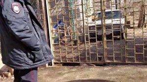 История  с Узниками,  новый поворот событий  | Нашли разделанные,  сожженные останки собак?