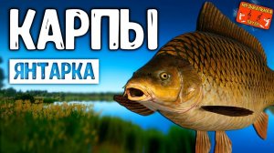 РР4/ рыбалка для души, ловим как универсал, общаемся 22.02.24