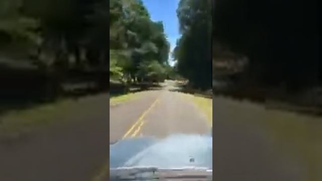 4Runner 1989 смотреть онлайн