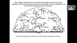 Астрономия 11 класс 3-4 недели. Звезды и созвездия. Небесные координаты и звездные карты