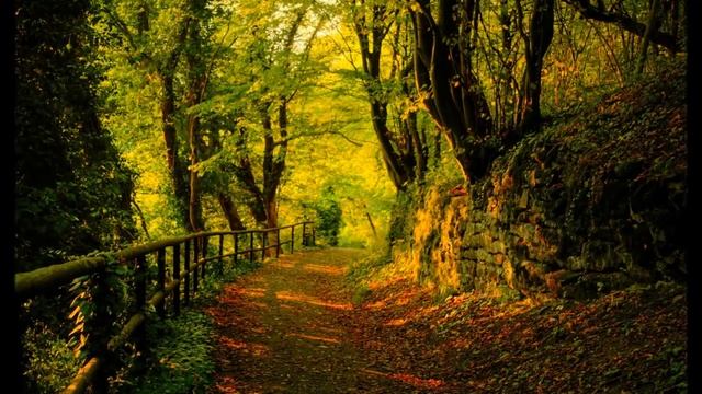 ?A CHARMING AUTUMN SERENITY? смотреть онлайн